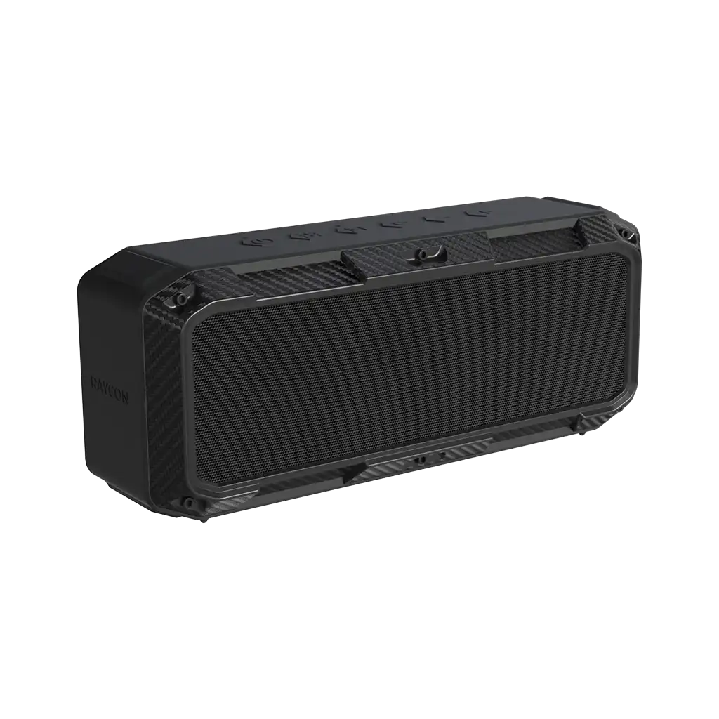 rayconaudious.it.com