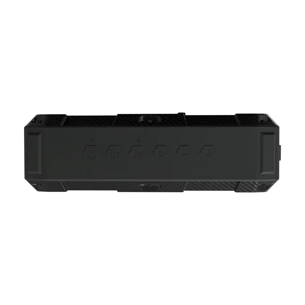 rayconaudious.it.com