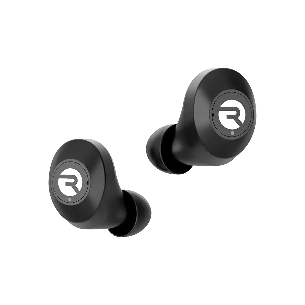 rayconaudious.it.com