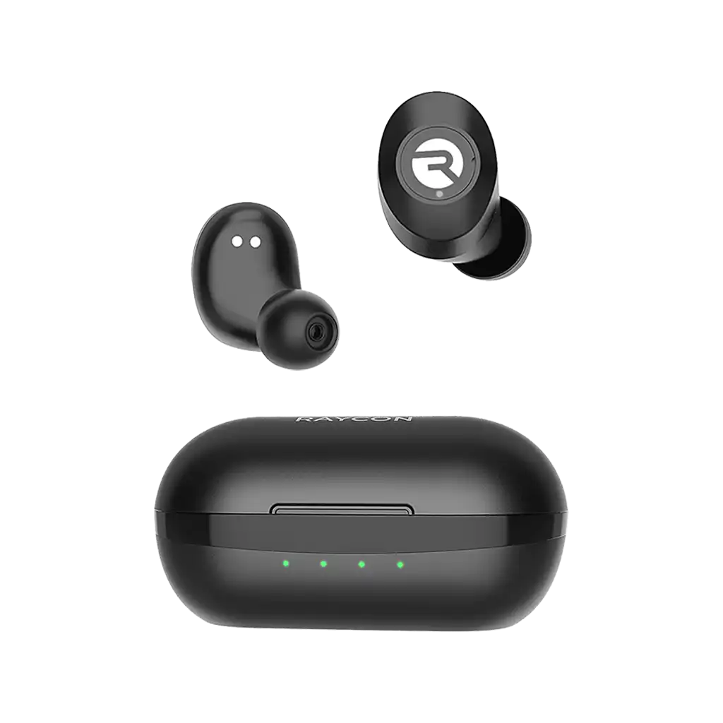 rayconaudious.it.com
