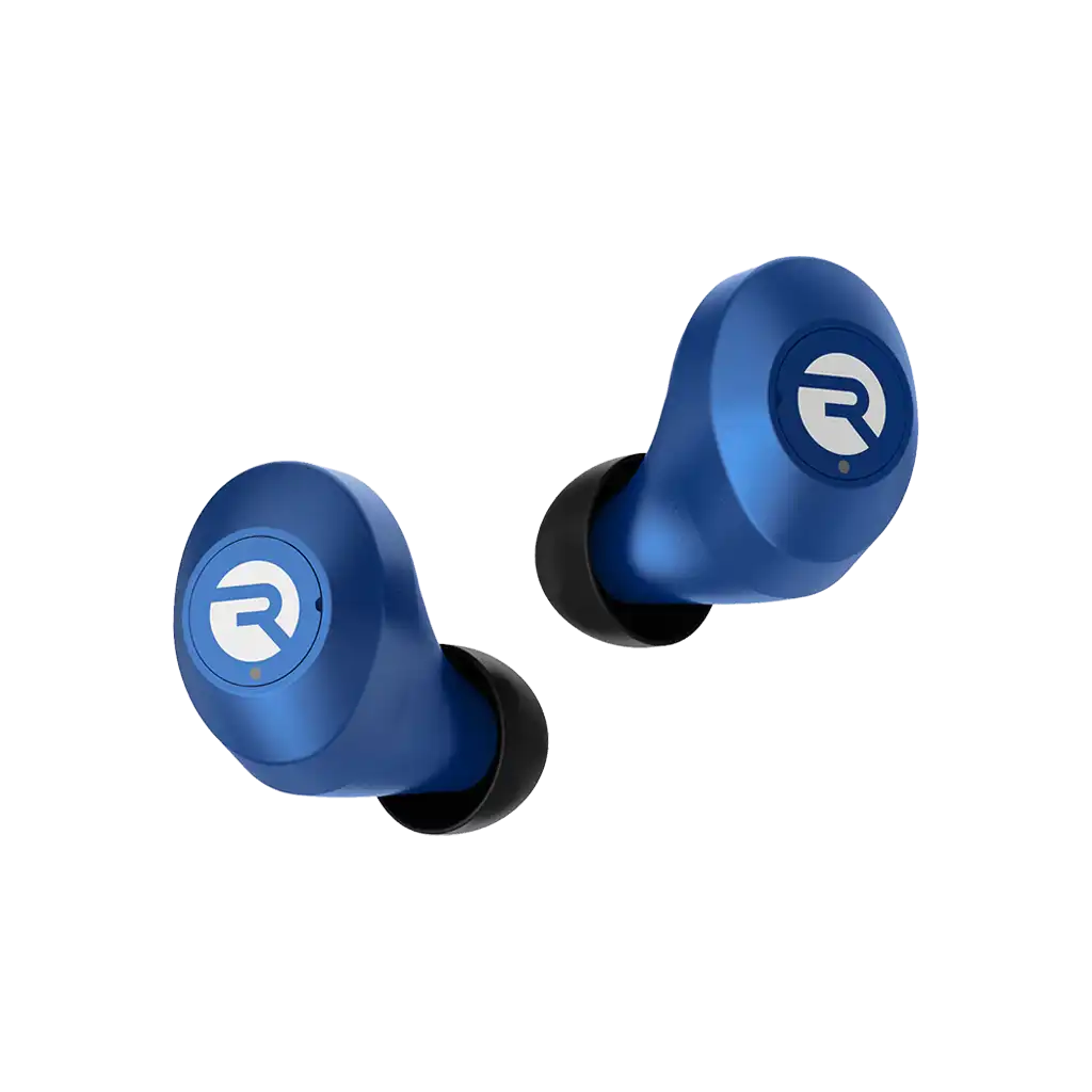 rayconaudious.it.com