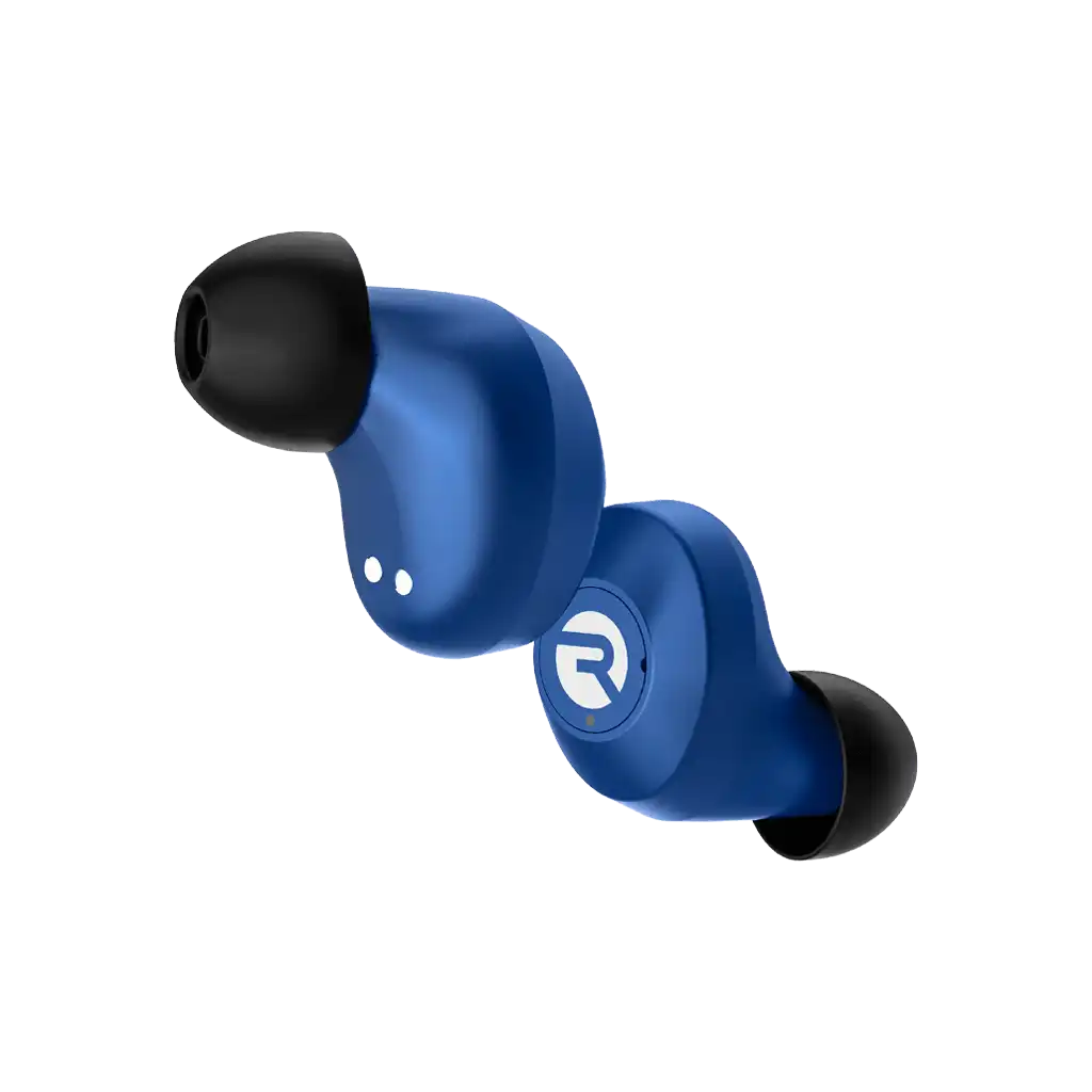 rayconaudious.it.com
