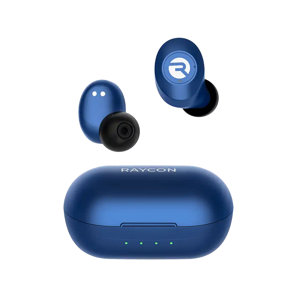 rayconaudious.it.com