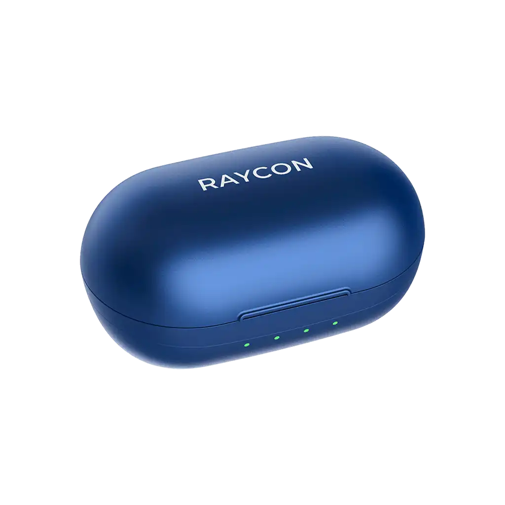 rayconaudious.it.com