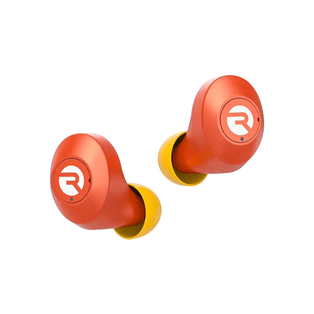 rayconaudious.it.com