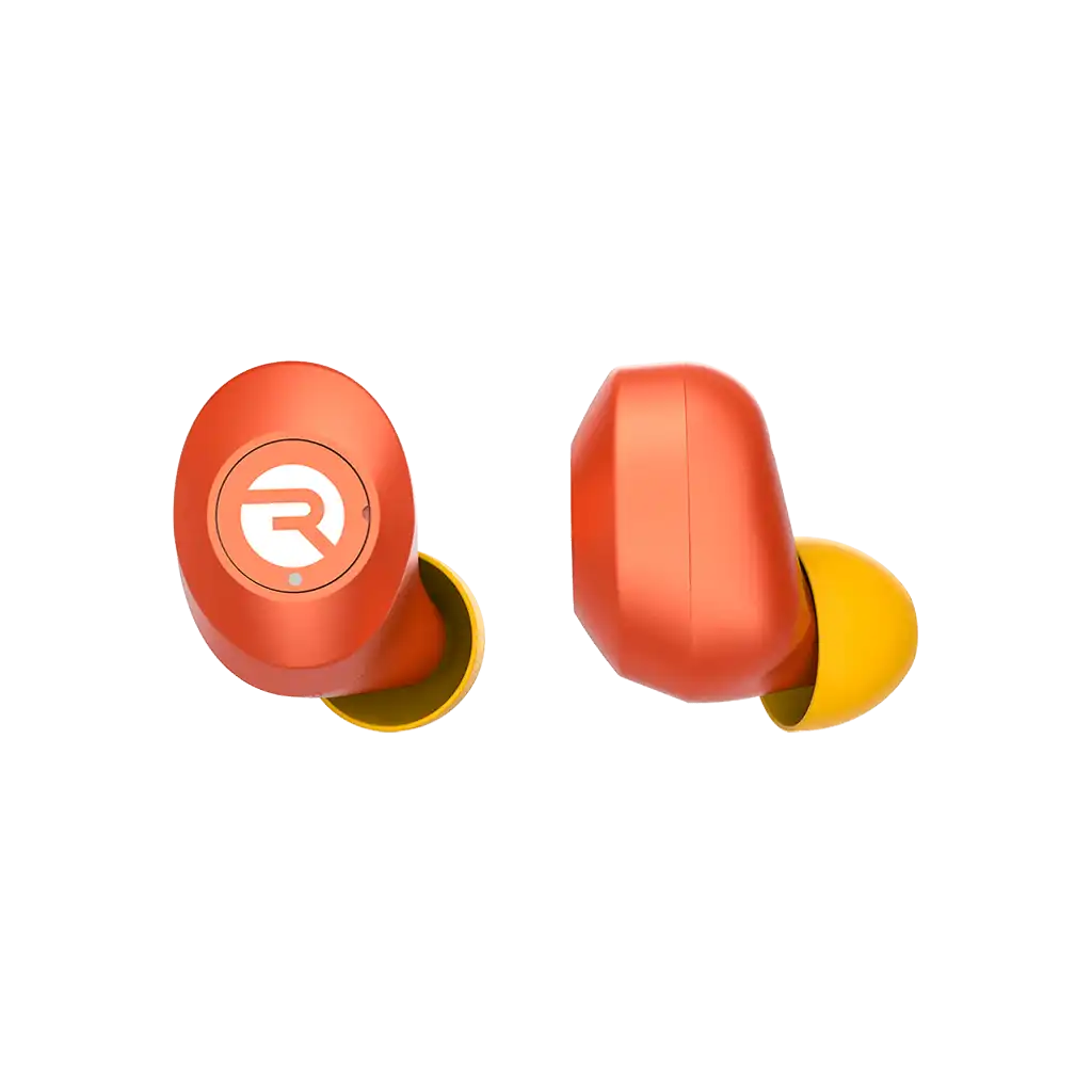 rayconaudious.it.com
