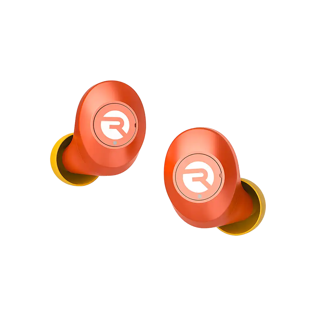rayconaudious.it.com