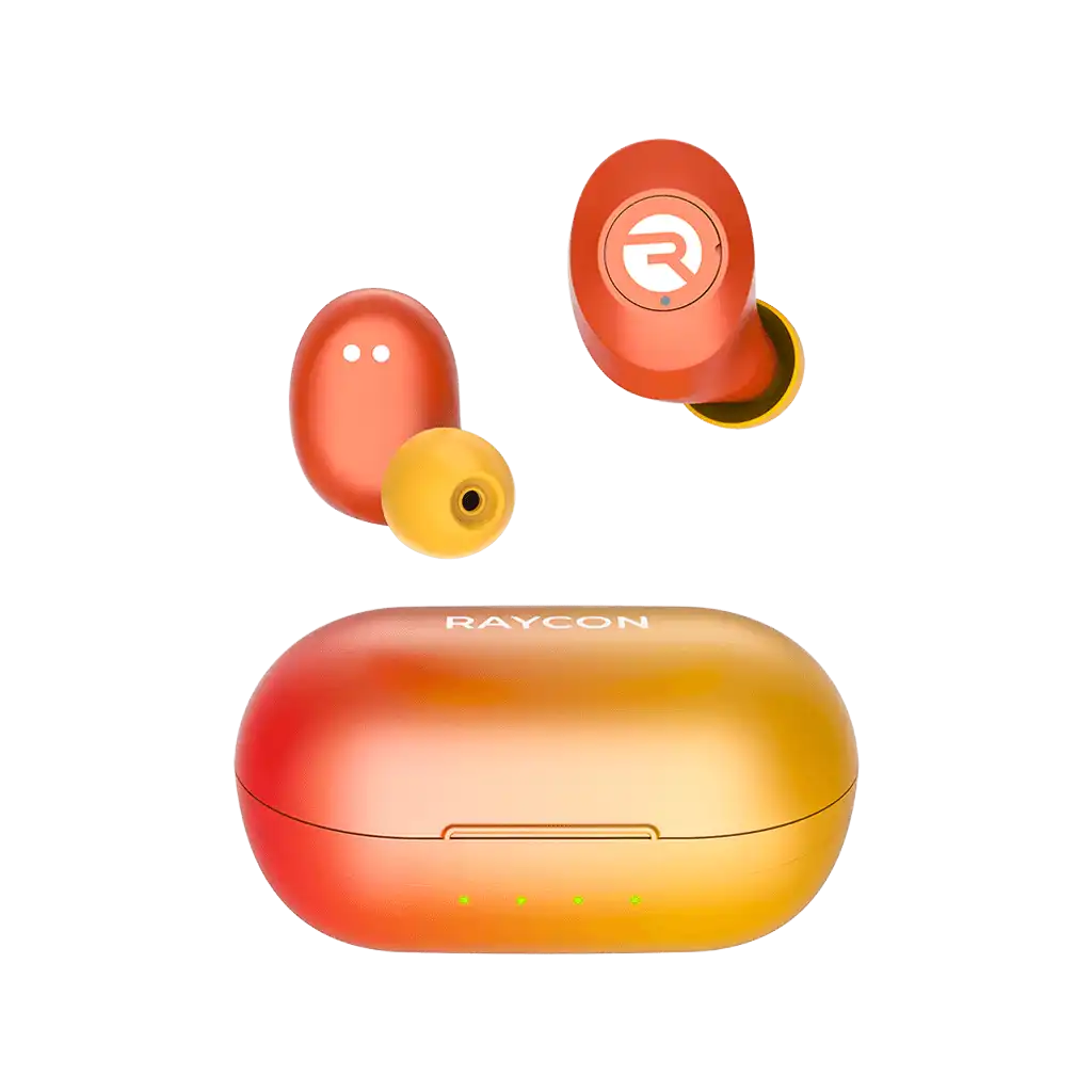 rayconaudious.it.com