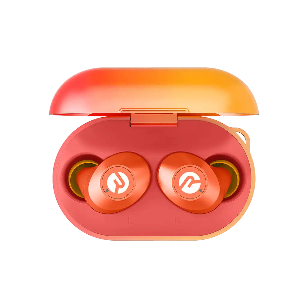 rayconaudious.it.com