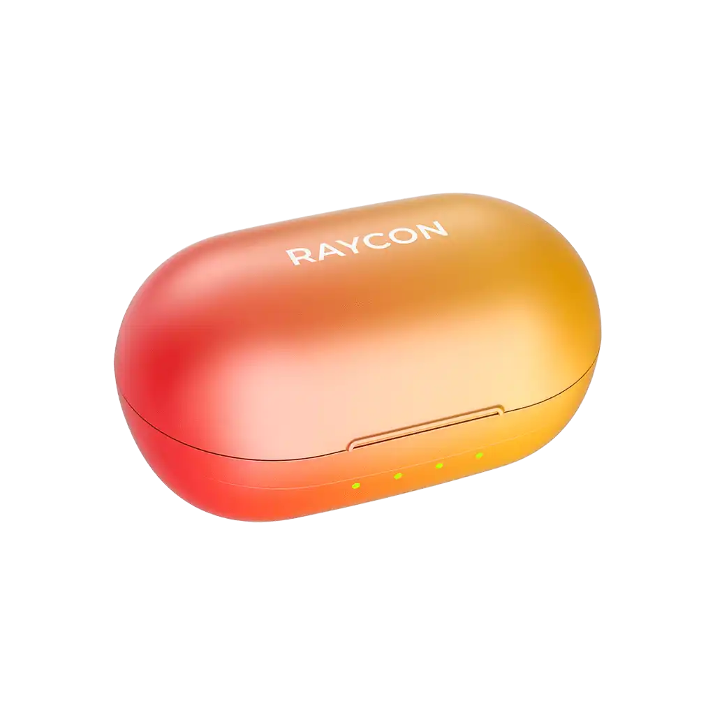 rayconaudious.it.com