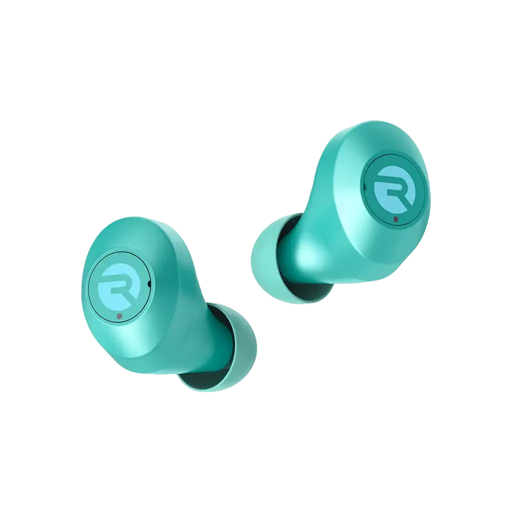 rayconaudious.it.com