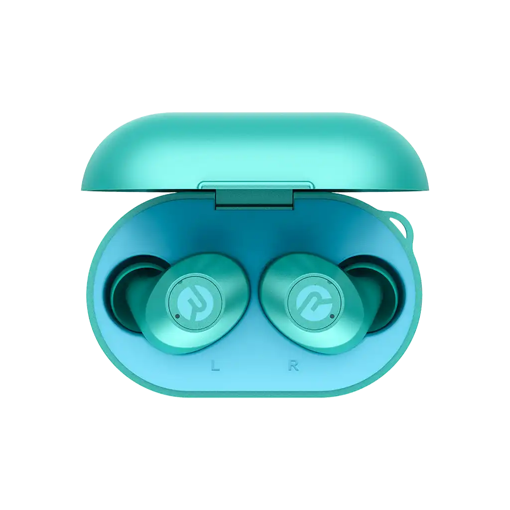 rayconaudious.it.com