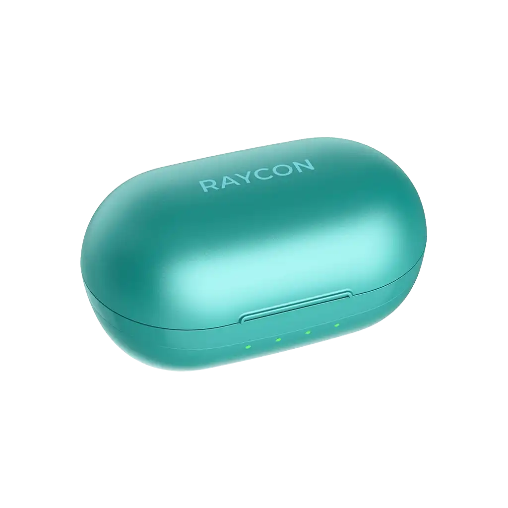 rayconaudious.it.com