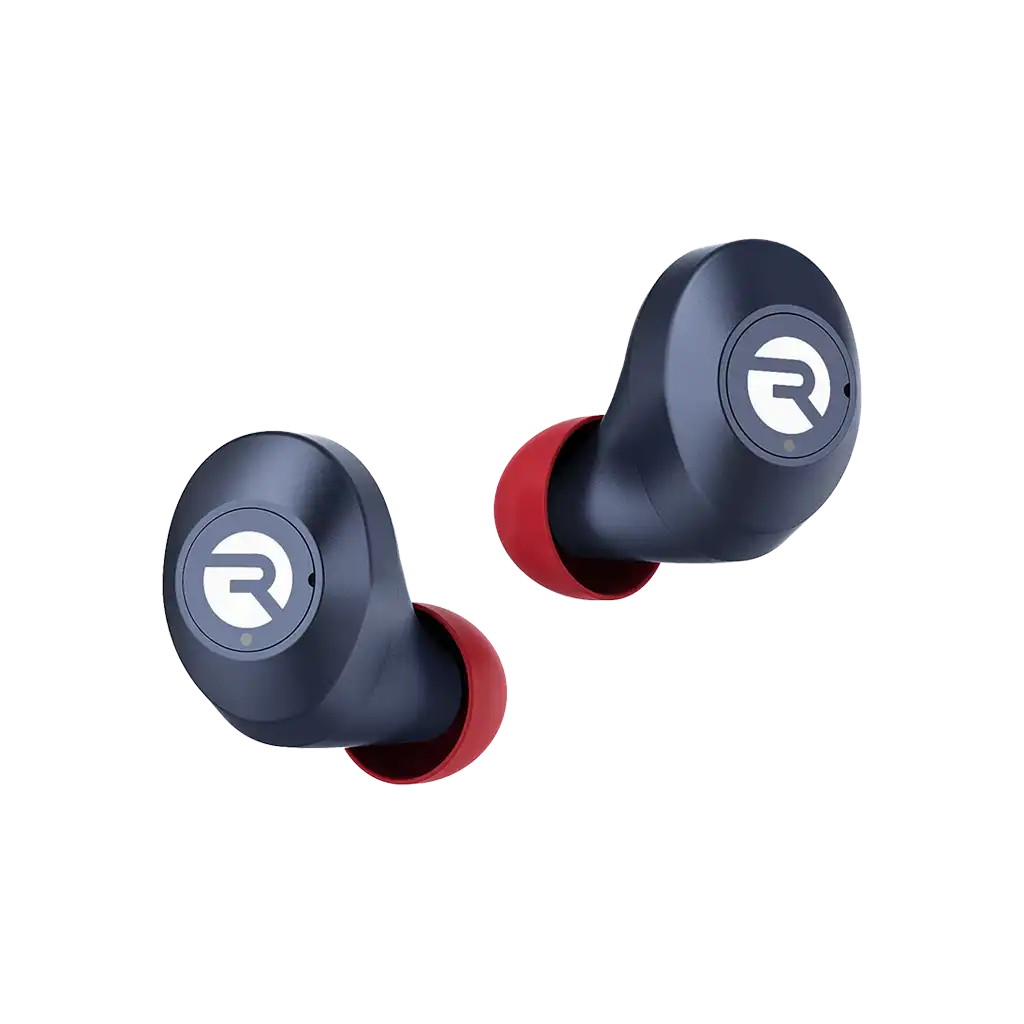 rayconaudious.it.com