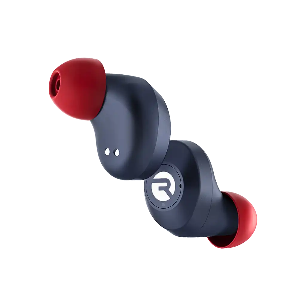 rayconaudious.it.com