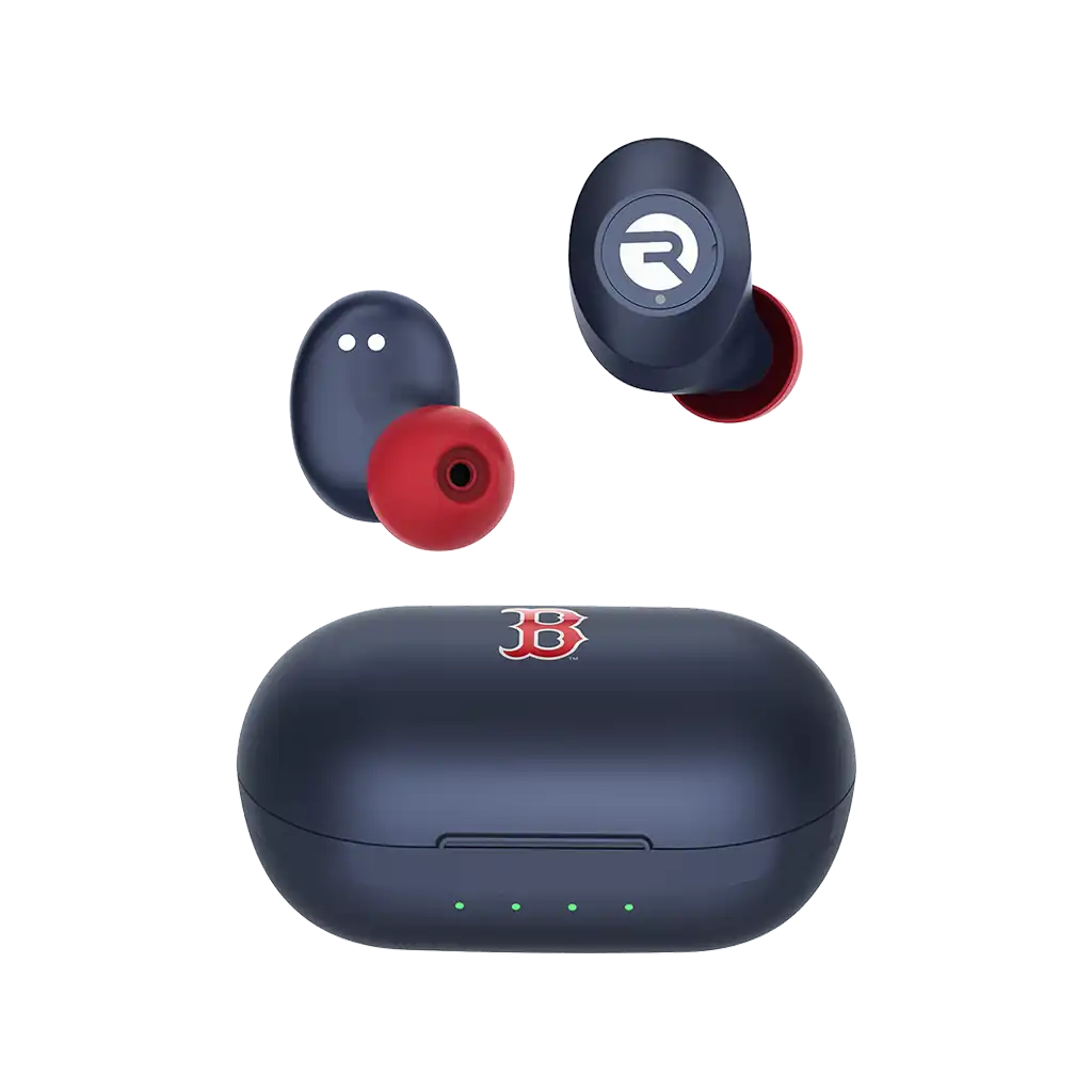 rayconaudious.it.com