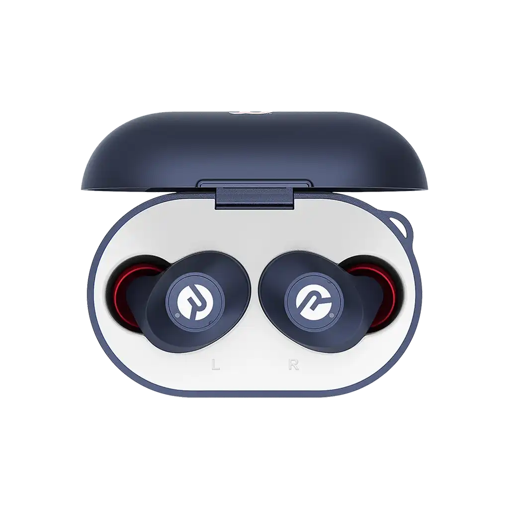rayconaudious.it.com