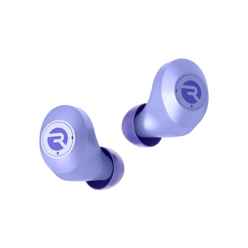 rayconaudious.it.com
