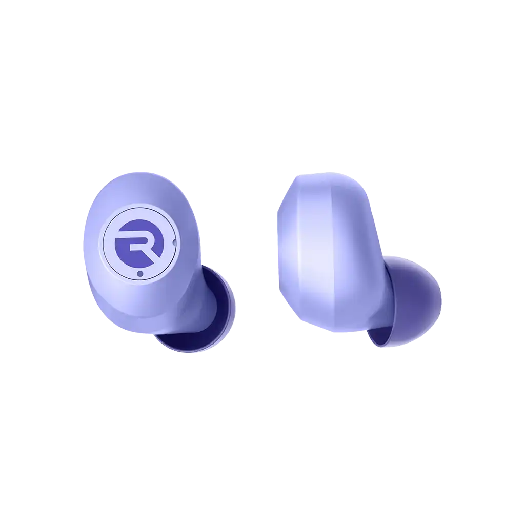 rayconaudious.it.com