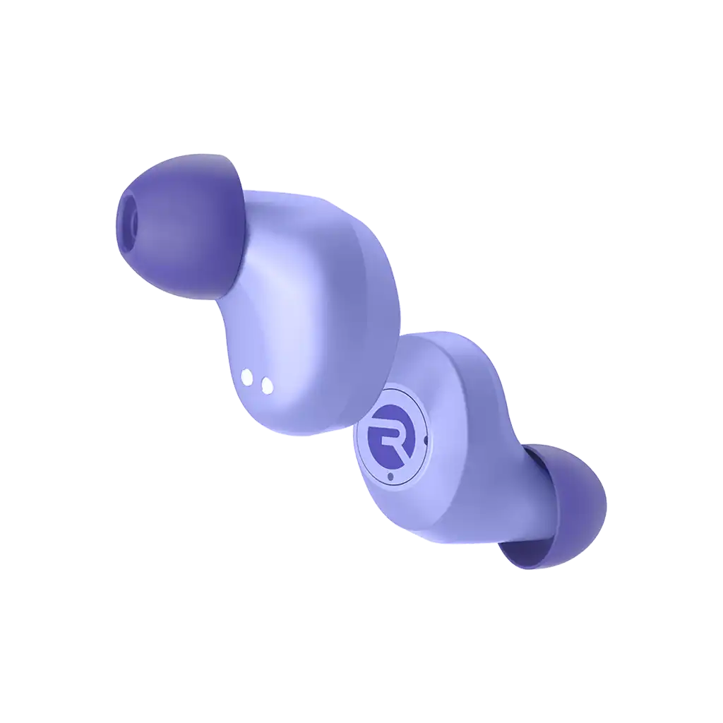 rayconaudious.it.com