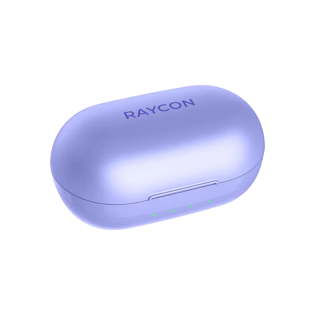 rayconaudious.it.com