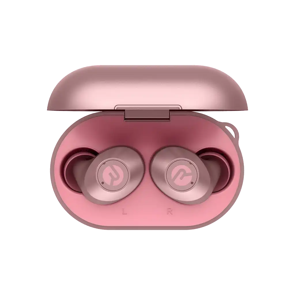 rayconaudious.it.com