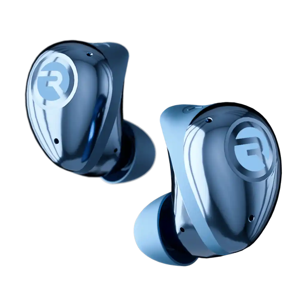rayconaudious.it.com
