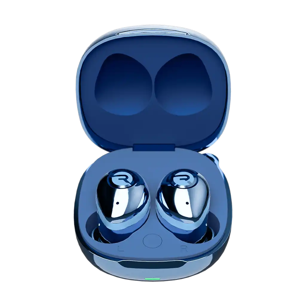 rayconaudious.it.com