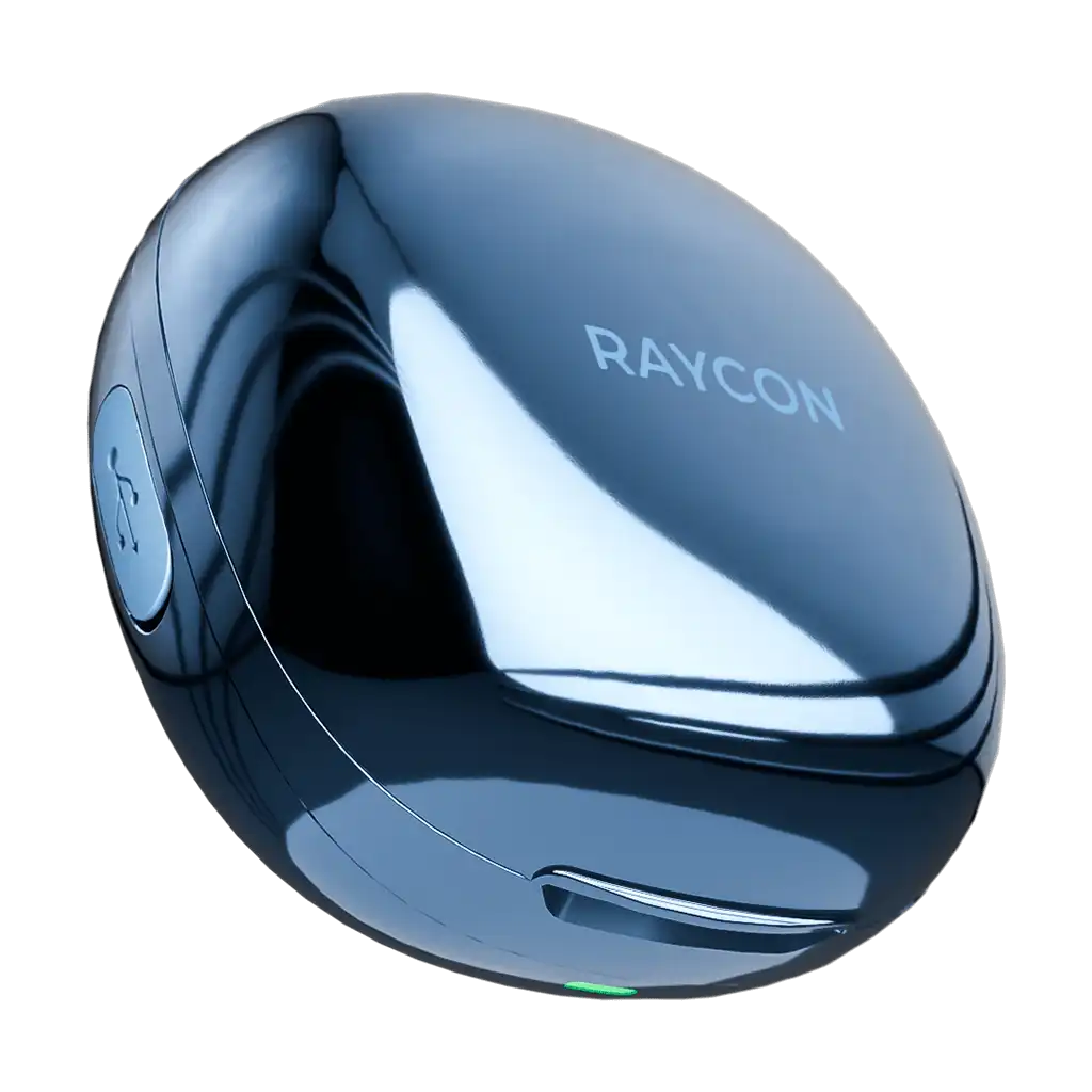 rayconaudious.it.com