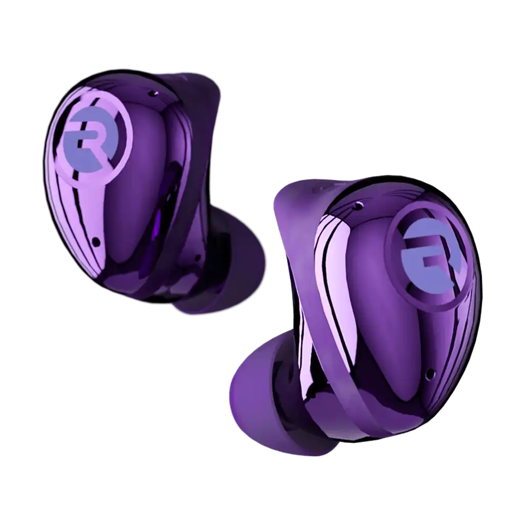 rayconaudious.it.com