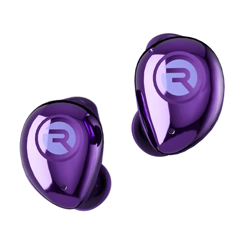 rayconaudious.it.com