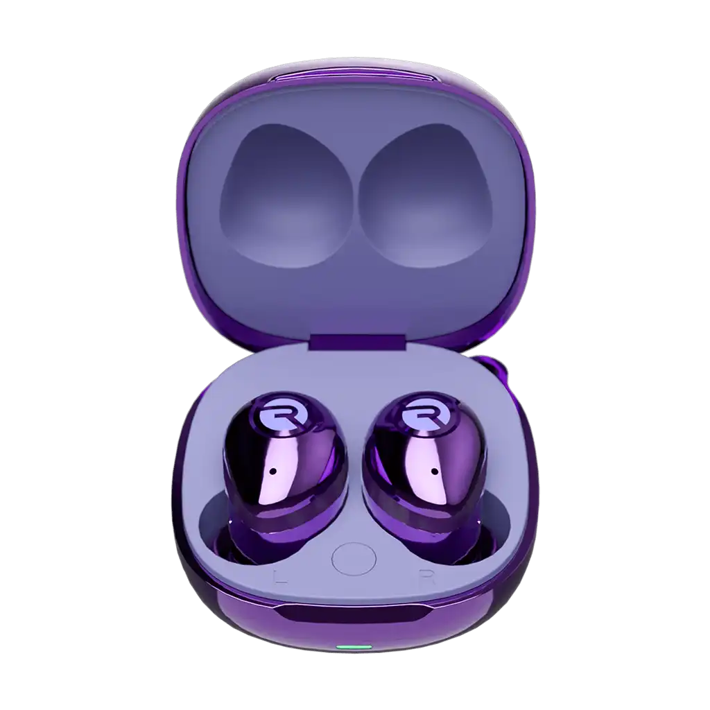 rayconaudious.it.com