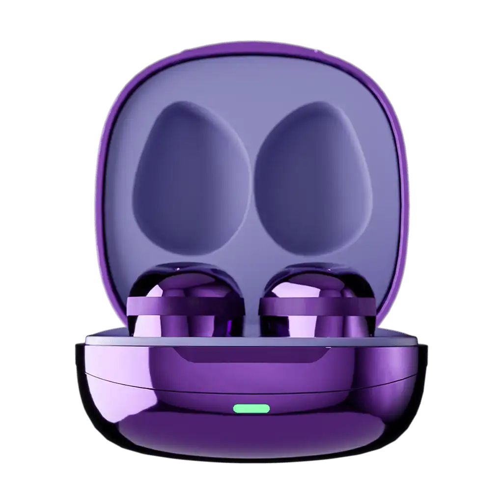 rayconaudious.it.com
