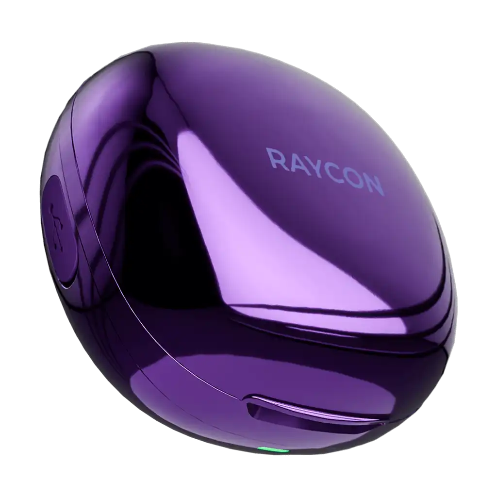rayconaudious.it.com