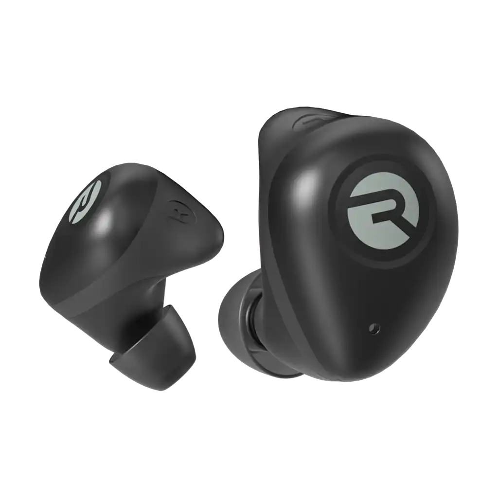 rayconaudious.it.com