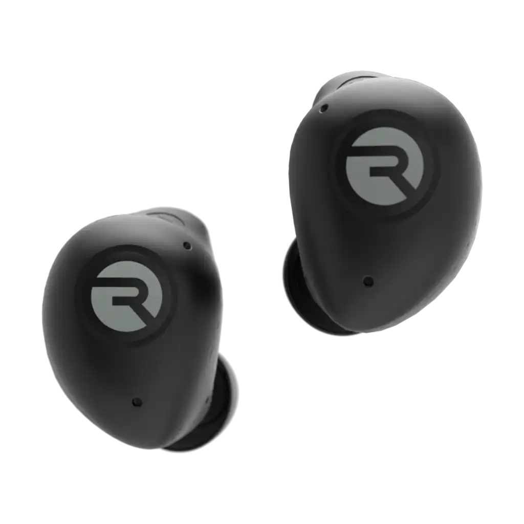 rayconaudious.it.com