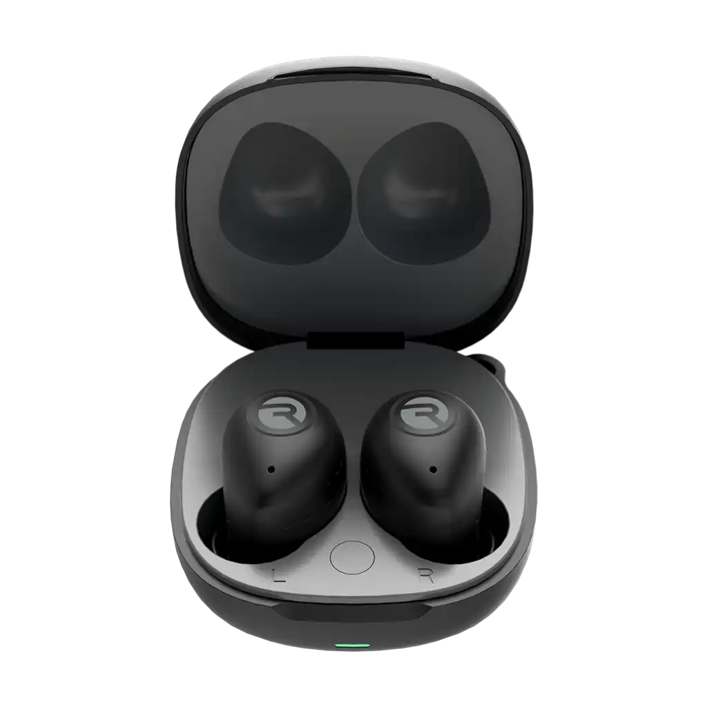 rayconaudious.it.com