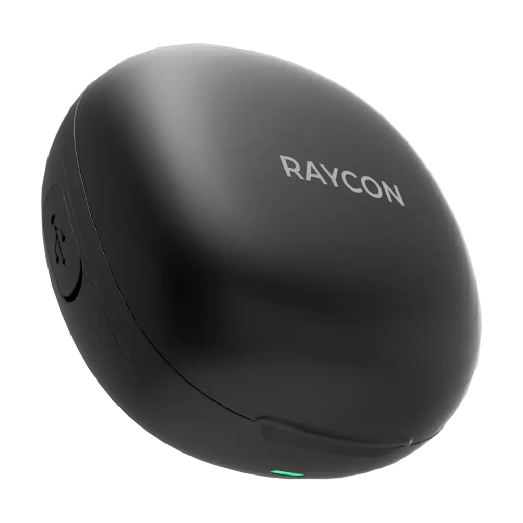 rayconaudious.it.com