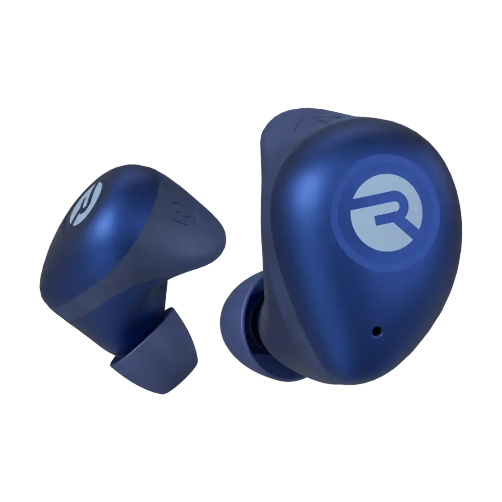 rayconaudious.it.com