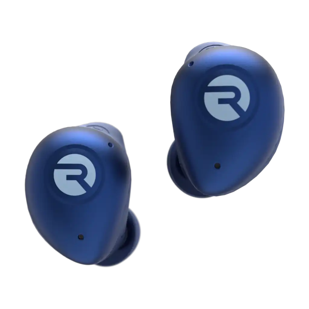 rayconaudious.it.com