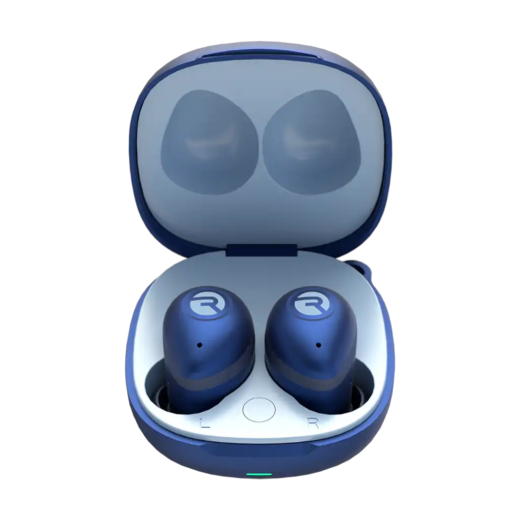 rayconaudious.it.com