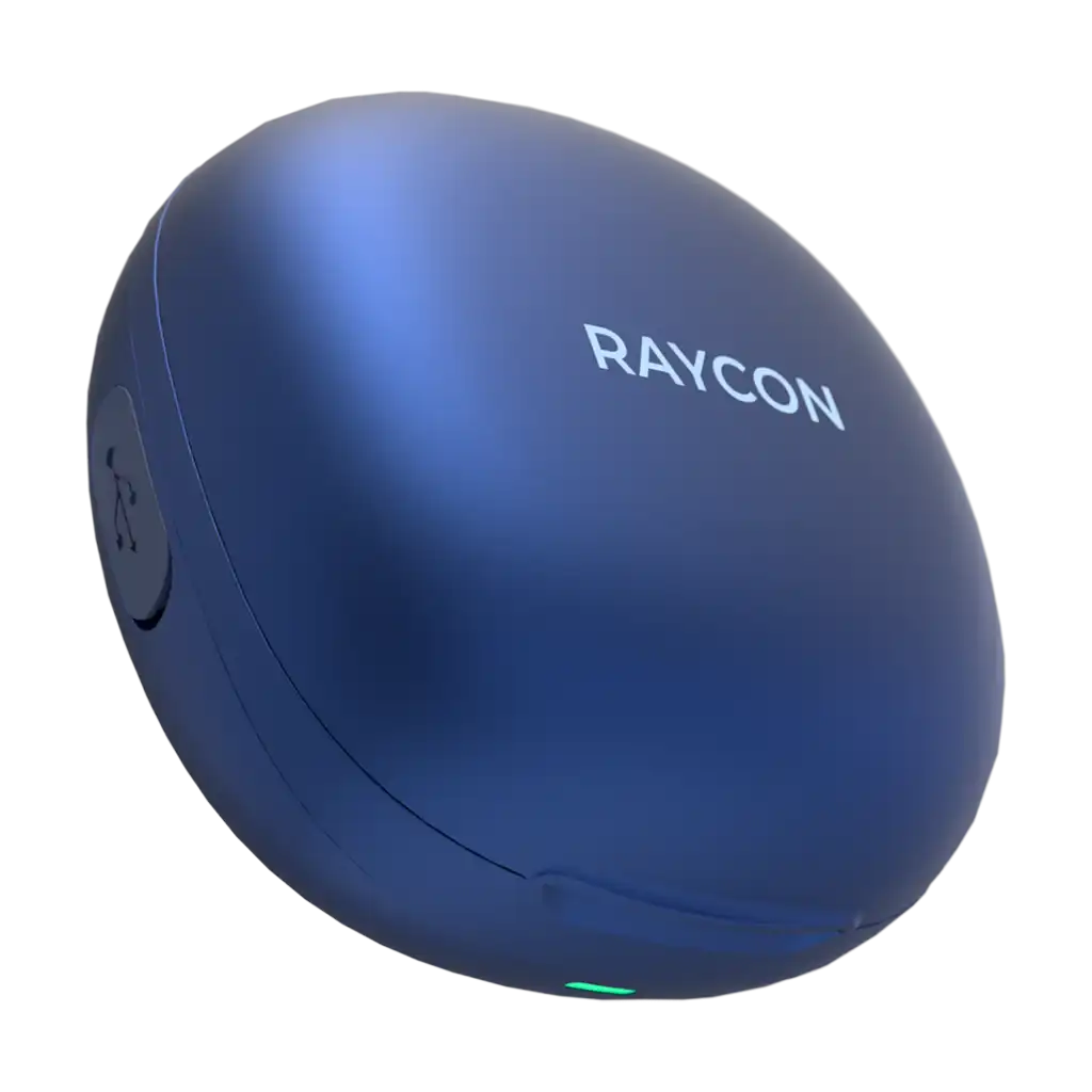 rayconaudious.it.com