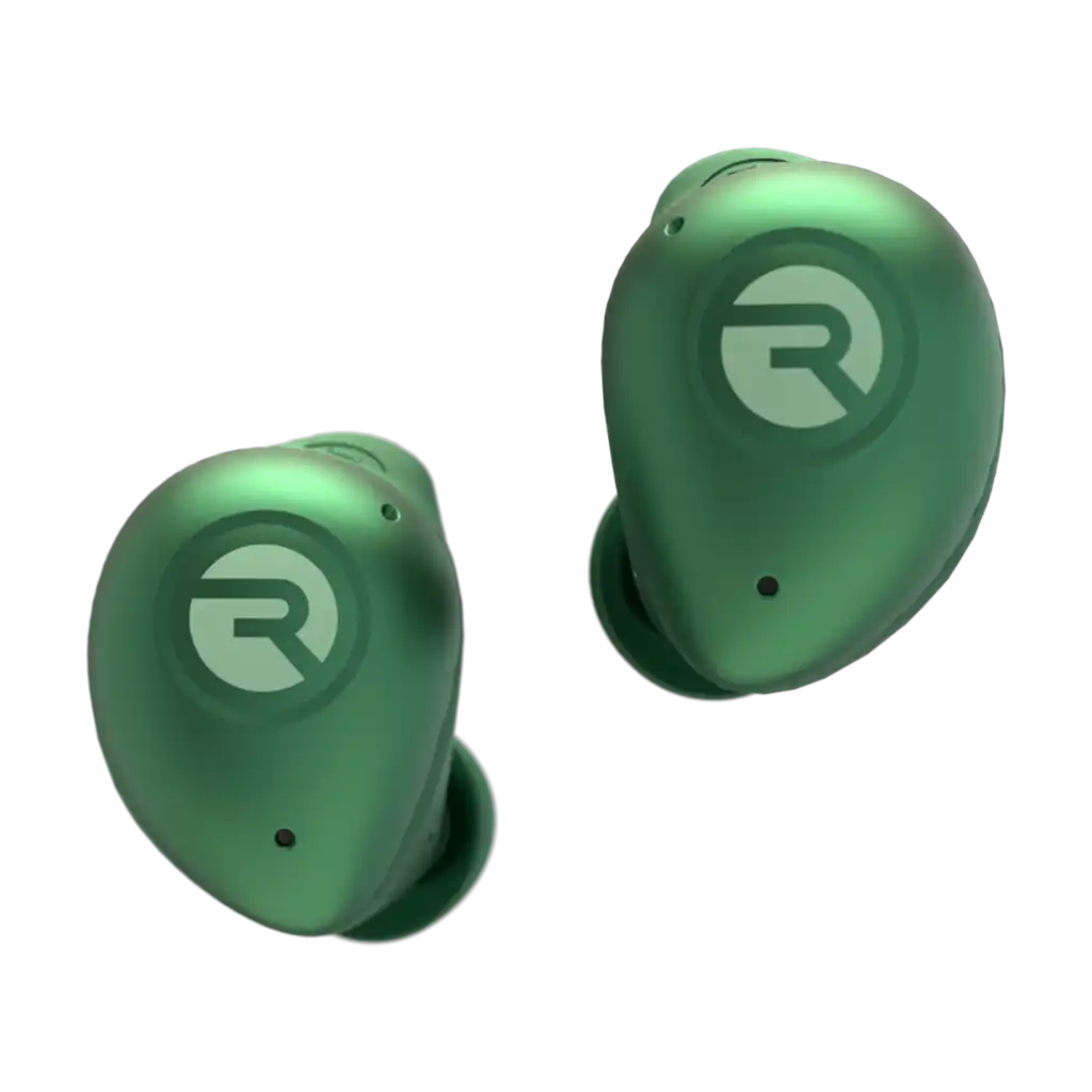 rayconaudious.it.com