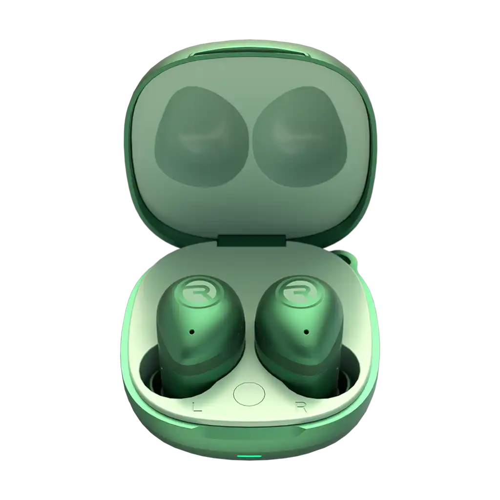 rayconaudious.it.com
