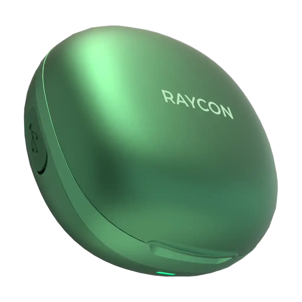 rayconaudious.it.com