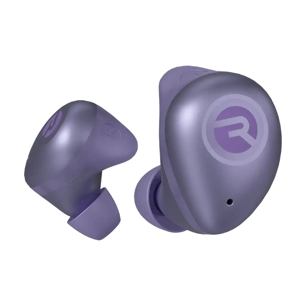 rayconaudious.it.com
