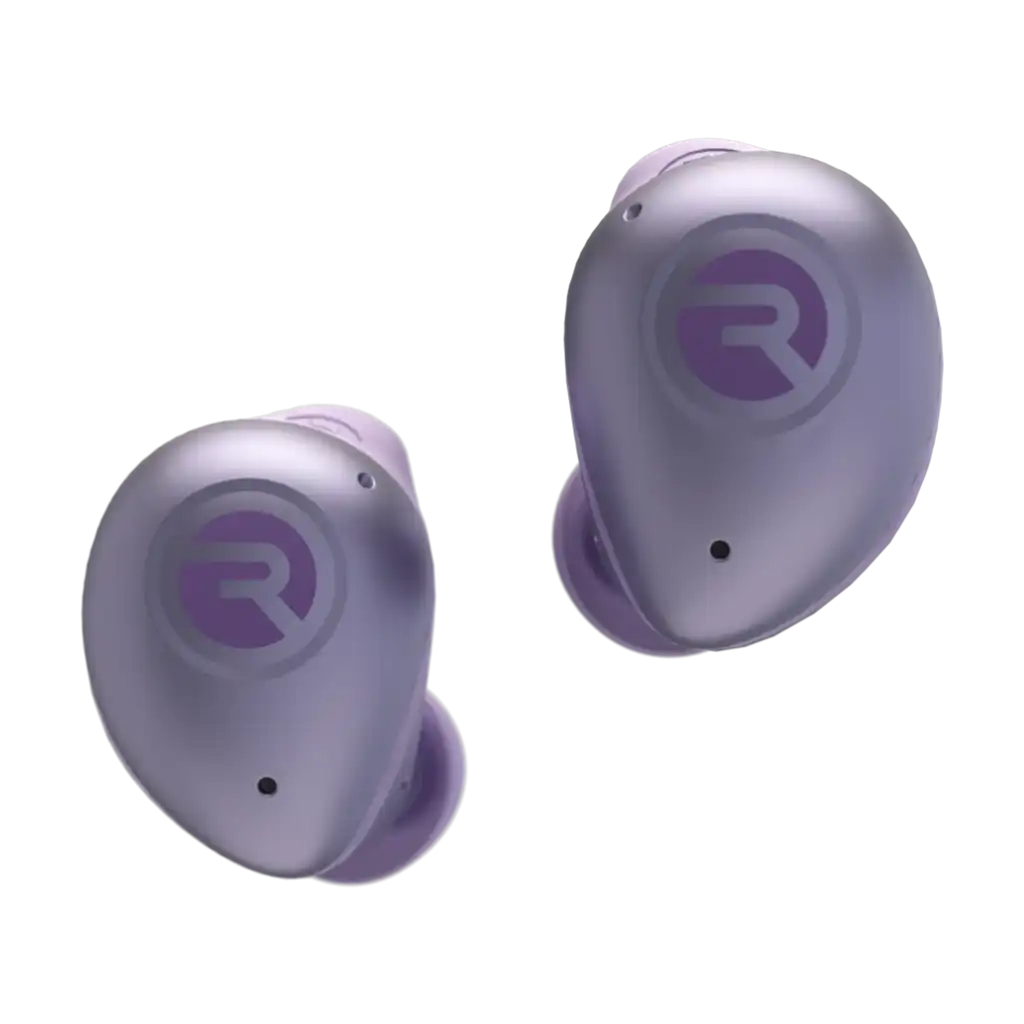 rayconaudious.it.com