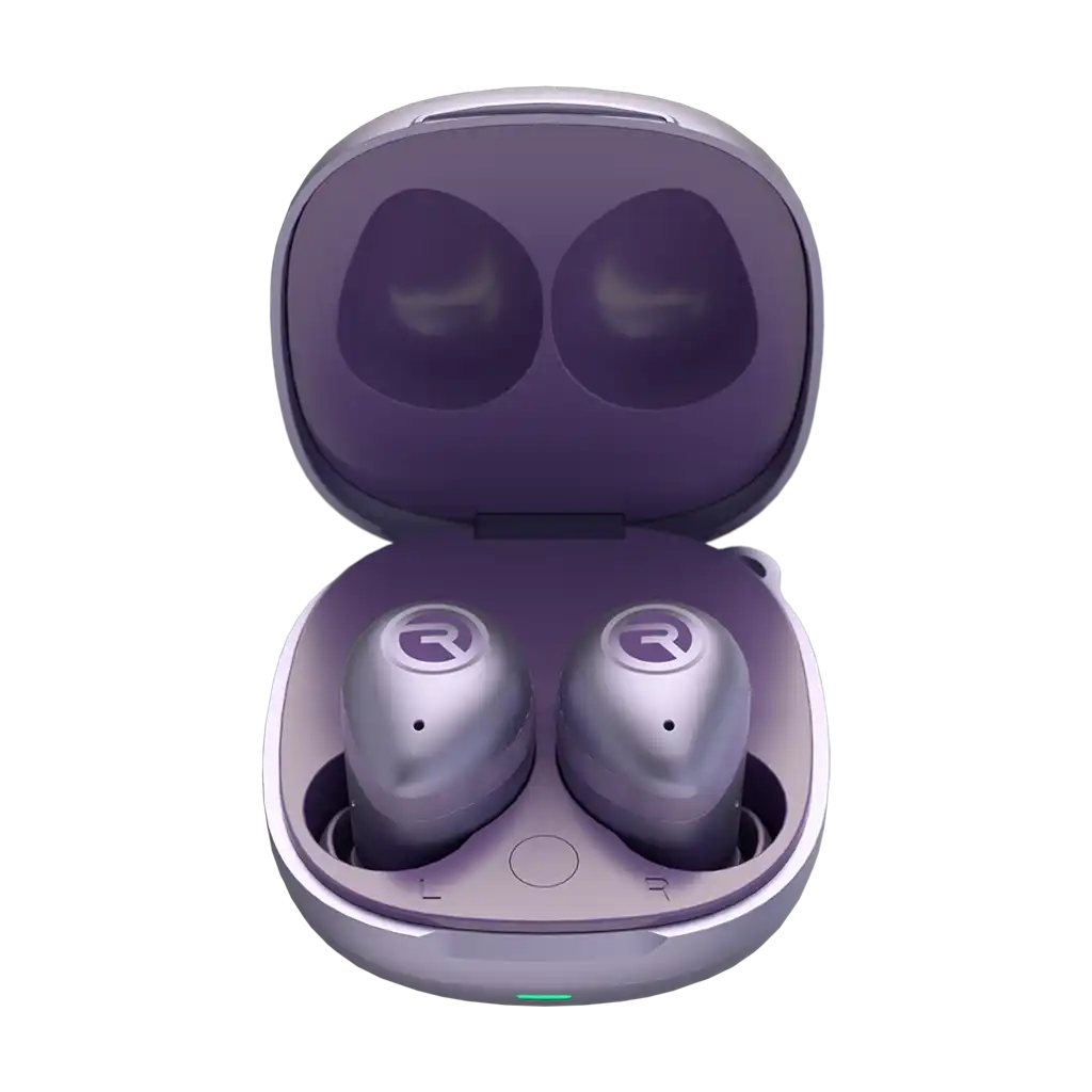 rayconaudious.it.com