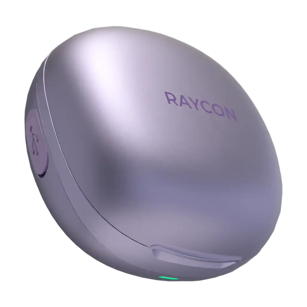 rayconaudious.it.com