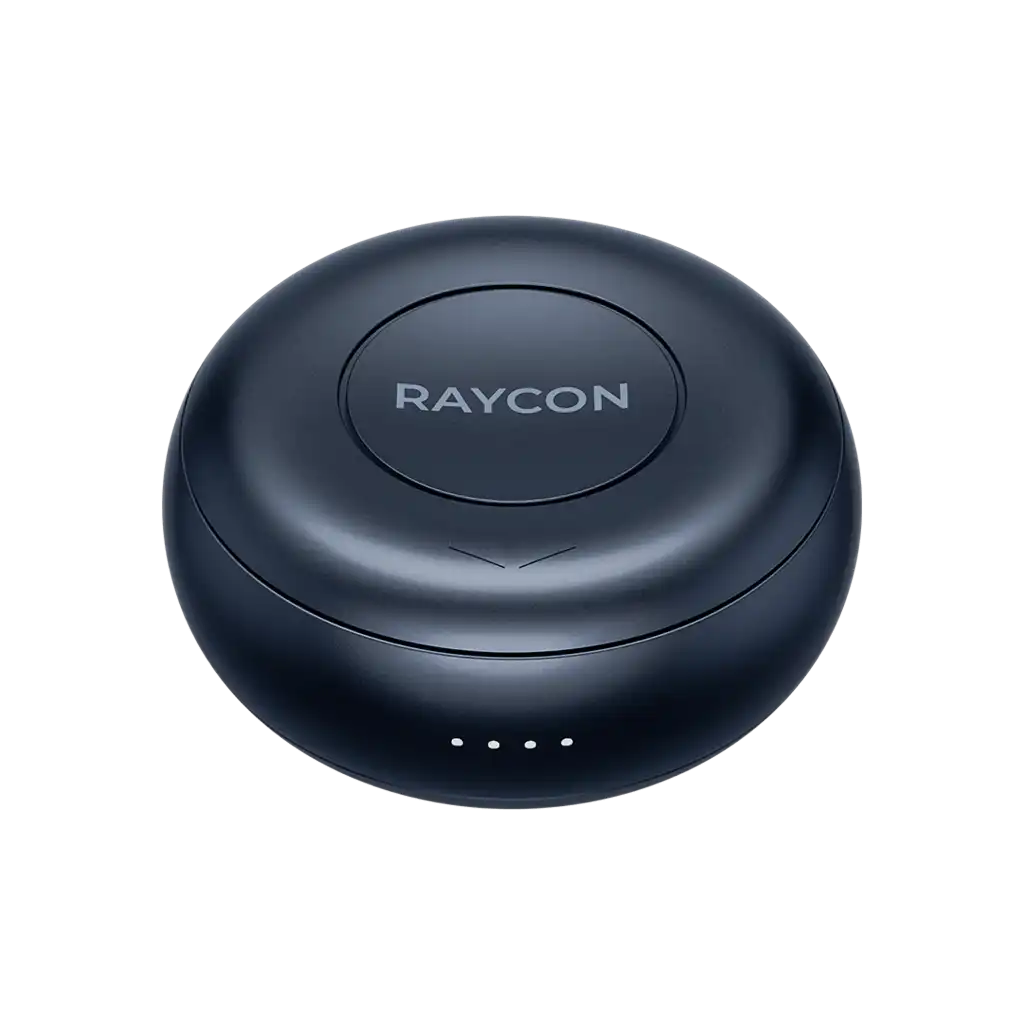 rayconaudious.it.com